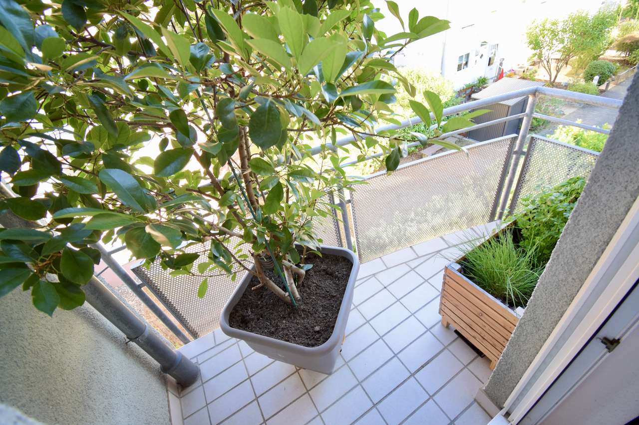 Balkon Balkon